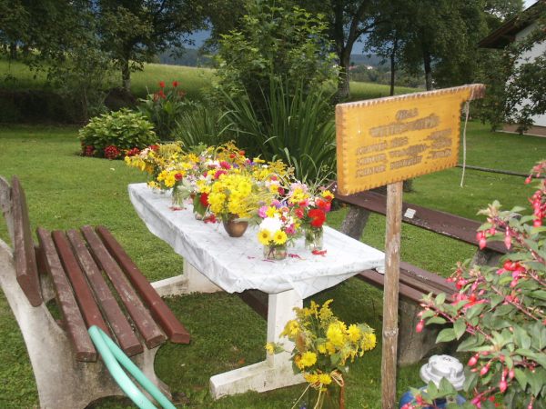 klopein2005_461
