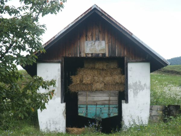klopein2005_475