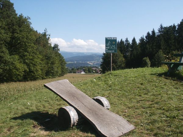 klopein2005_500