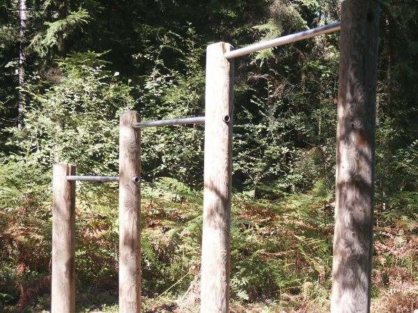 klopein2005_503