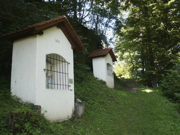 klopein2005_516
