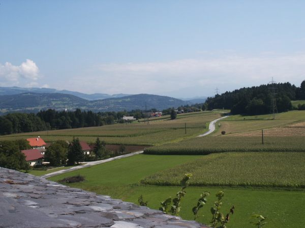 klopein2005_525