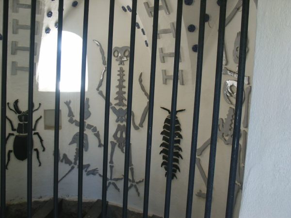 klopein2005_529