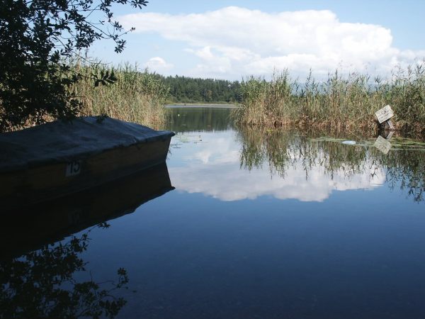 klopein2005_546