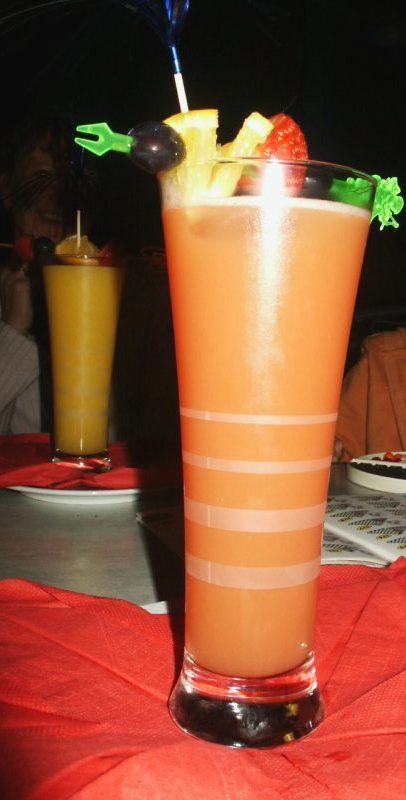 klopein2005_596